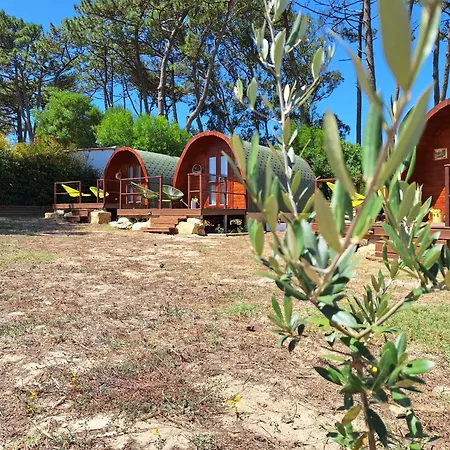 Vila Bastardo Glamping Pod